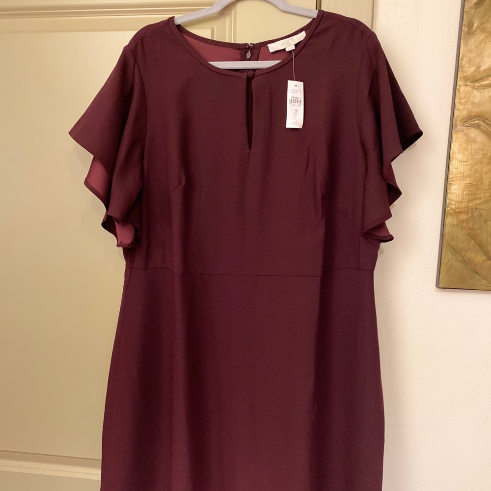 Plum purple loft dress NWT plus size 16 retail $85